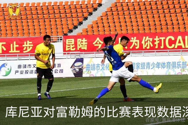 库尼亚对富勒姆的比赛表现数据深入分析